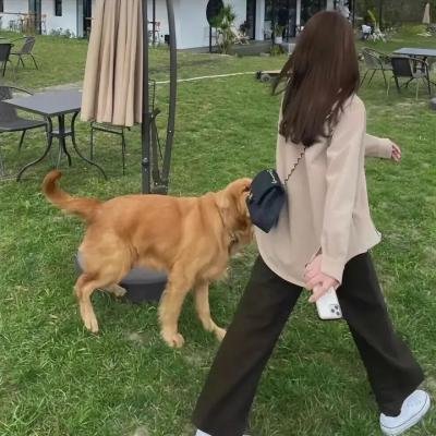如果能成为恋人